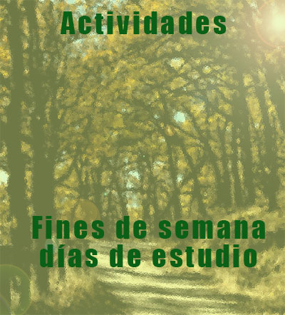 imagen (29K)
